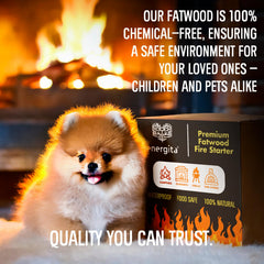 ENERGITA fatwood resin-rich wood closeup highlights natural resin content for dependable lights.