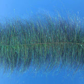 Enrico Puglisi EP Sparkle Brush Olive 3in front view adds sparkle to intruder patterns.