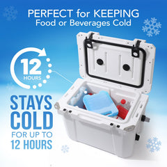 Everlasting Ice RX four-pack of jumbo ice packs arranged for cooler prep