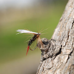 Fly patterns designed to resemble insects and baitfish