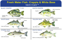 Express Yourself Crappie & White Bass Ident-I-Card front shows six species illustrations for quick field ID.