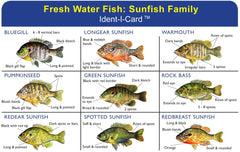 Express Yourself Sunfish Ident-I-Card front with color sunfish illustrations for quick field ID