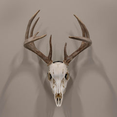 Close-up: skull silhouette peg with matte black finish