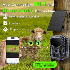 Fargarloo trail camera night vision low-glow delivers clear dusk footage with minimal disturbance.