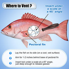Vent fishing in action: relieving barotrauma in a deep-sea fish