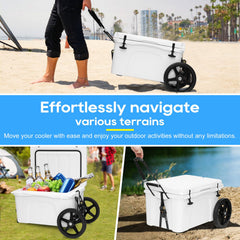 FERUERW all-terrain 12in wheels enable stable movement on sand and pavement.