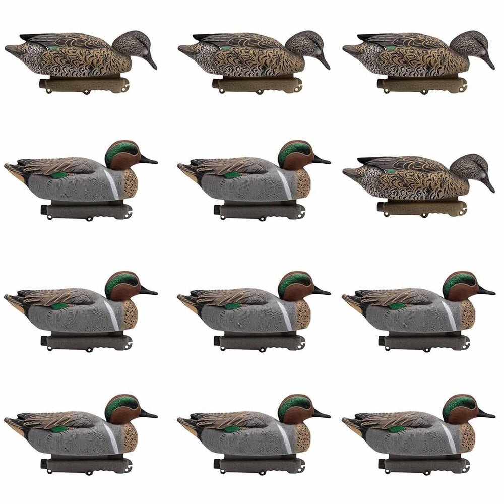 Final Approach HD Green-Winged Teal Drake full view for a lifelike waterfowl spread.