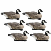 Final Approach Last Pass Canada Goose Floater 6-pack on water for realistic field setup.