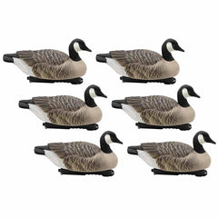 Final Approach Last Pass Canada Goose Floater 6-pack on water for realistic field setup.