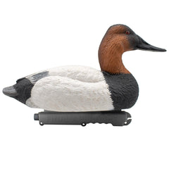 Final Approach live canvasback active drake decoy with vivid paint for realism