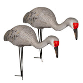Final Approach Live Full Body Sandhill Crane feeder with stake for secure field deployment