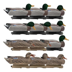 Final Approach Live Mallard EVA floaters with drake drinkers for realistic spread
