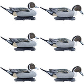 Final Approach Pintails 6-Pack front view shows lifelike flocking for a realistic waterfowl spread.