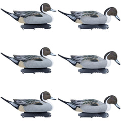 Final Approach Pintails 6-Pack front view shows lifelike flocking for a realistic waterfowl spread.