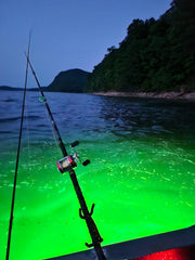 Fire Water Marine MAXX includes 15 ft marine cable for flexible setups