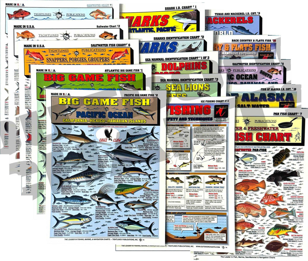 Front cover of Fishermen's Saltwater Fish Identification Set
