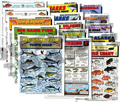 Front cover of Fishermen's Saltwater Fish Identification Set