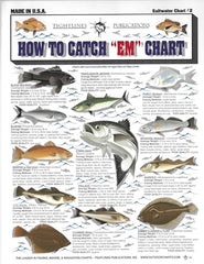 Open guide with double-sided fish illustrations - page 1