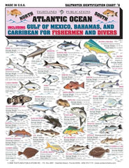 Open guide with double-sided fish illustrations - page 2