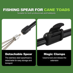 Cane toad removal tool in use