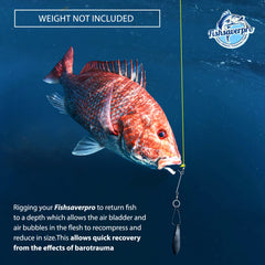 Close-up of Fishsaverpro descending device