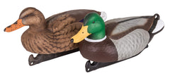 Flambeau Masters Series drake head detail decoy showcases vivid plumage for convincing silhouettes.