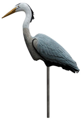 Flambeau Outdoors 5960CD Great Blue Heron Decoy on stake boosts waterfowl confidence