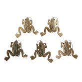 Flexman frogs lure pack showing five mini topwater lures for saltwater fishing.