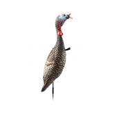 Flextone Funky Chicken decoy folded with stake ready for field setup to attract gobblers
