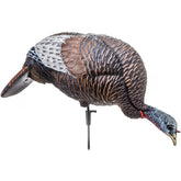 Flextone Thunder Chicken Feeding Hen Decoy with feeding posture to attract turkeys