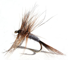 Adams trout fly assortment, 1 dozen, black, hand-tied on Mustad hooks, South Africa