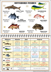 Cover of Florida Saltwater Fish Identification Book with FWC rules