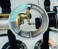 Underwater view illustrating fast sink rate of fluorocarbon leader