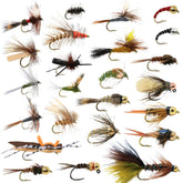 Box of 24 trout flies including dry flies, nymphs, and a streamer