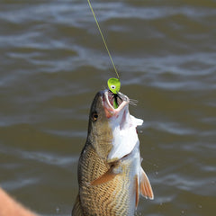 Red popper fly with legs topwater lure