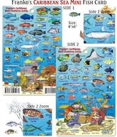 Franko Maps Mini Caribbean Reef Creatures Fish ID front view, laminated for quick reef ID
