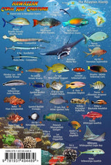Franko Maps Mini Hawaiian Reef Creatures card back lists names for divers