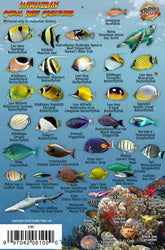 Franko Maps Mini Hawaiian Reef Creatures card front shows vivid reef images for quick ID