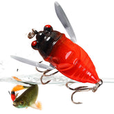 Freshwater Cicada Lure with double treble hooks ready for bass fishing.