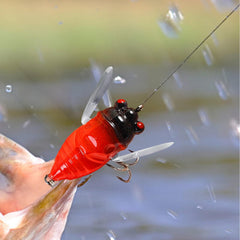 Freshwater Cicada Lure shows high attraction power for quick strikes.