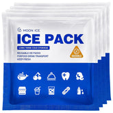 FrostIris blue ice pack 4x4 cooler image shows compact cooling for longer trips.