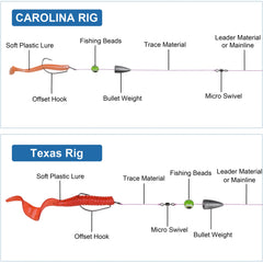 Carolina rig featuring beads above the hook