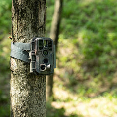 GardePro E5 night vision captures clear nocturnal wildlife footage