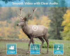 GardePro E5S records HD video at 1296p for detailed footage.