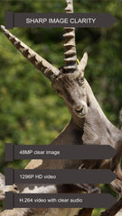 GardePro E6P Max 48MP photo captures crisp wildlife moments