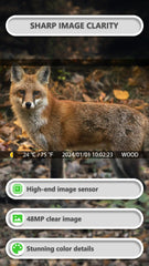 GardePro E8P 48MP stills capture detailed wildlife and property scenes.