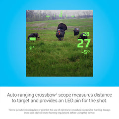 Illuminated aim points adjust brightness based on light