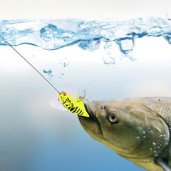 Generic Cicada Fishing Catcher features realistic cicada design for enticing cautious fish.