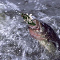 Generic lure featuring holographic eyes to attract fish.