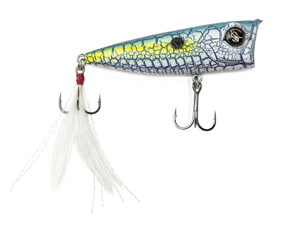 Googan Squad Blooper in Shattered Shad topwater pop for aggressive surface strikes.